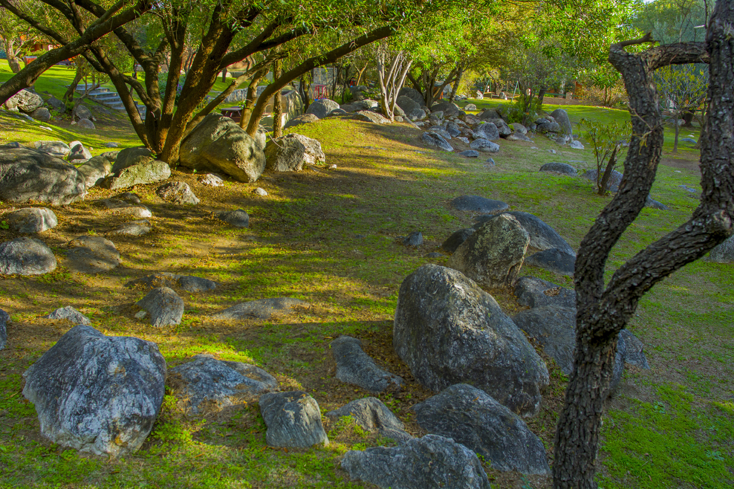 Parque